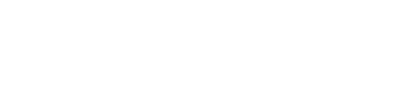 SparkRoam