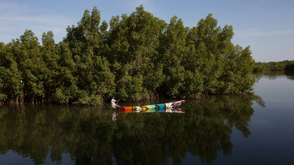 Canoe ride Gambia